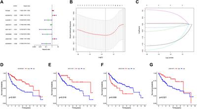 An immune infiltration-related long non-coding RNAs signature predicts prognosis for hepatocellular carcinoma